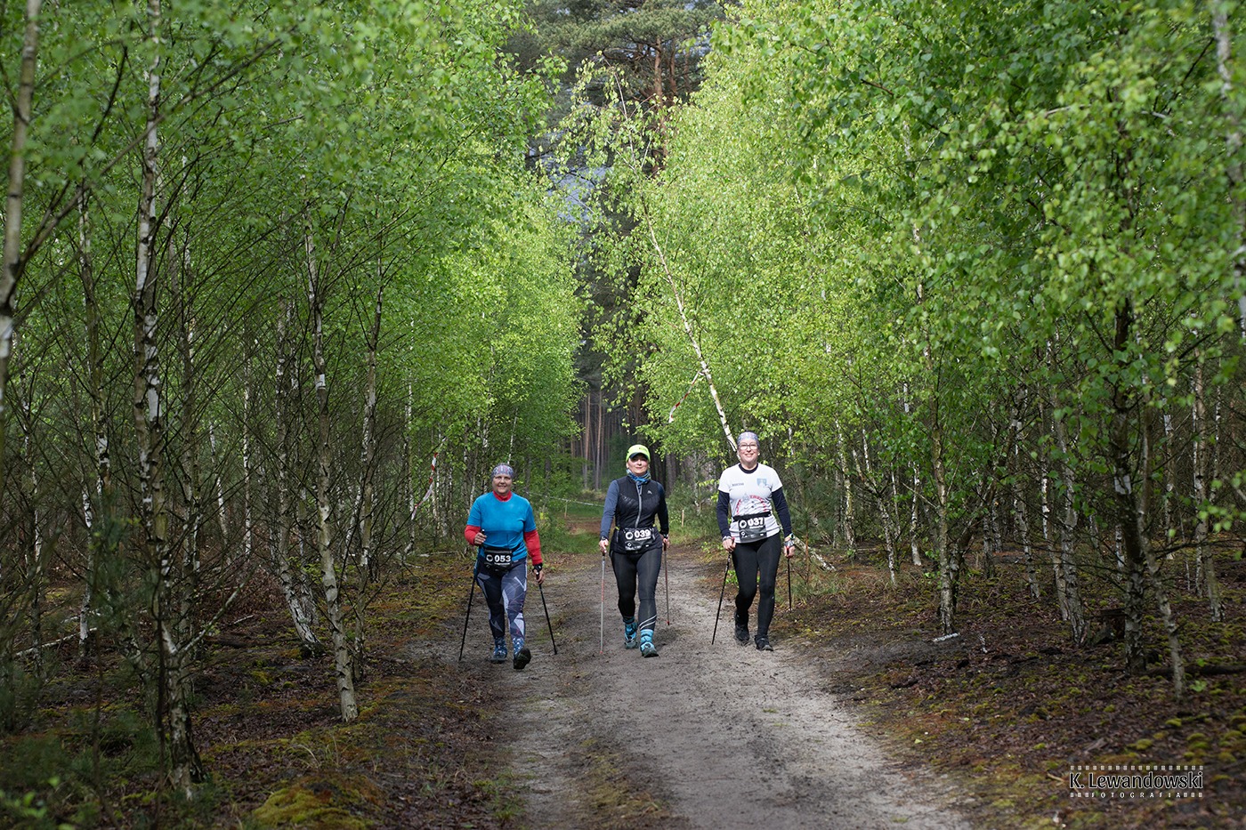 497944129 1183986086861241 1558976709569271283 n